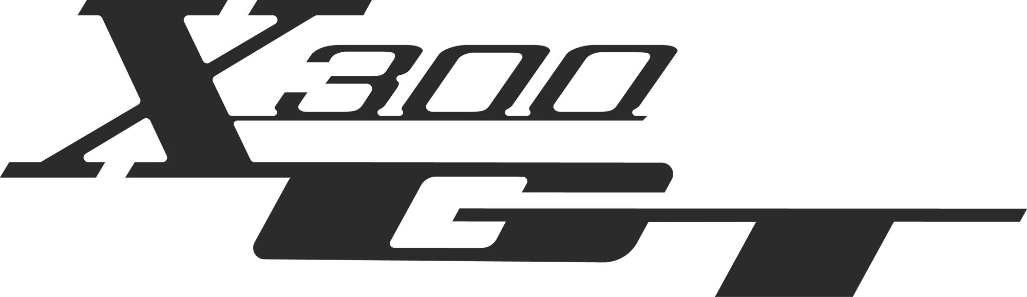X300GT Stripe Logo